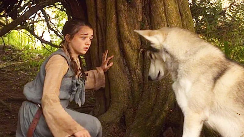 Who Is Princess Nymeria 8 Questions About Her Answered 03